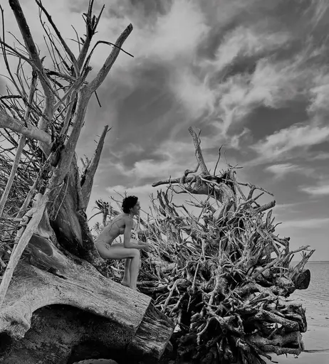 Image 6792338 from Bela Gil