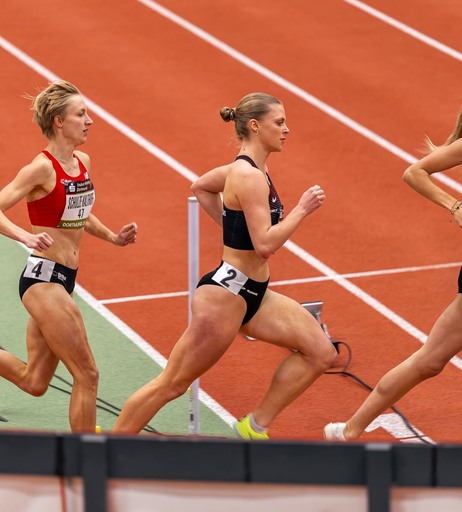 Image 5169532 from Svenja Sommer