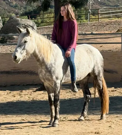 Image 5274918 from Mackenzie Foy