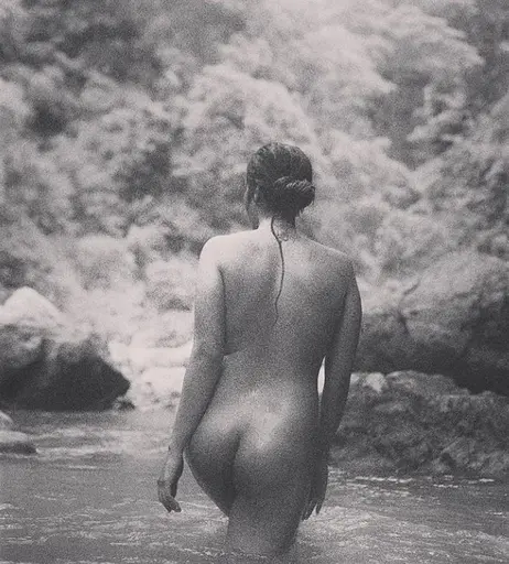 Image 5223693 from Psyflora | Neelam Kudale