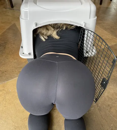 Image 5206657 from yourpuppygirl | puppygirljenna | yourpuppygirljenna