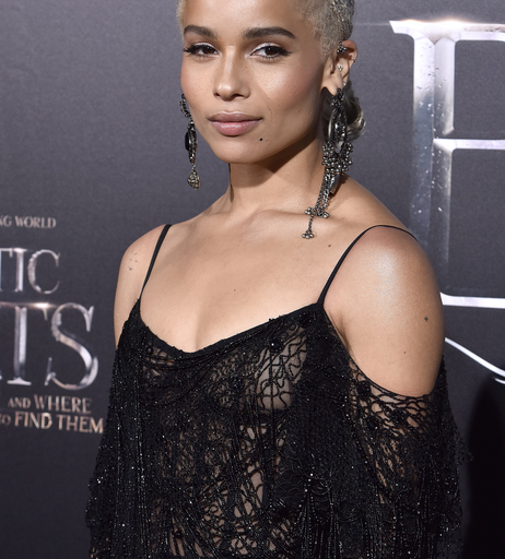 Image 5389281 from Zoë Kravitz