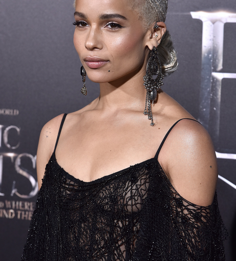 Image 5389240 from Zoë Kravitz