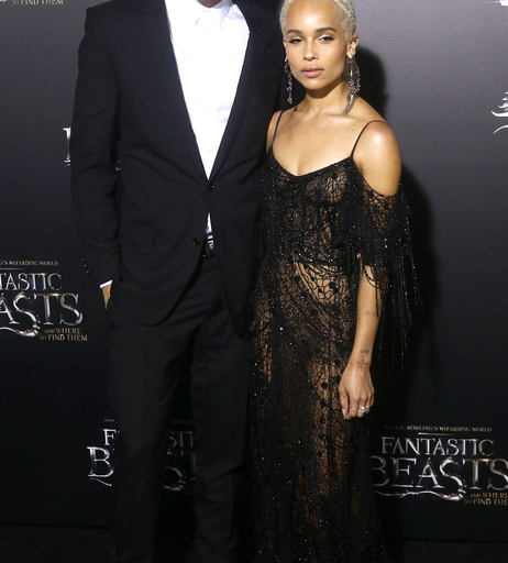 Image 5389270 from Zoë Kravitz