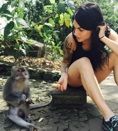 Image 5867759 from Krewella (Yasmine Yousaf &amp; Jahan Yousaf)