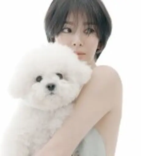 Image 5859967 from Song Hye-kyo