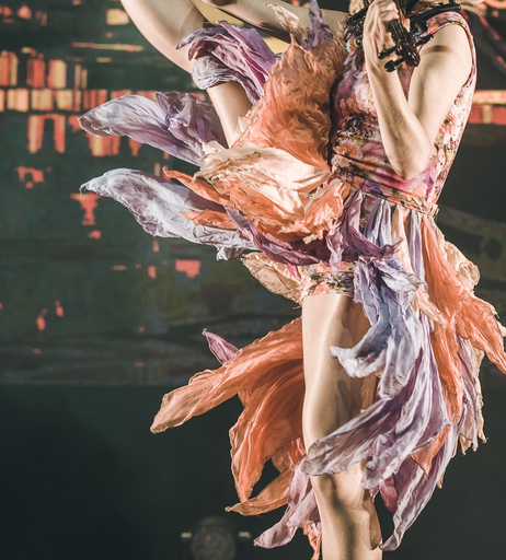 Image 5820038 from Lindsey Stirling