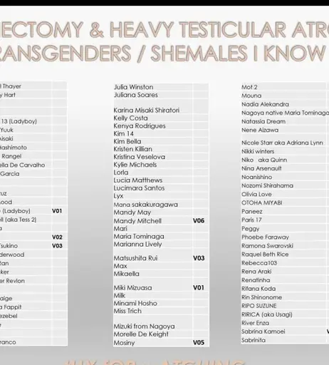 Image 5934488 from Trans Girls That Have Had An Orchiectomy - Castrated Girls
