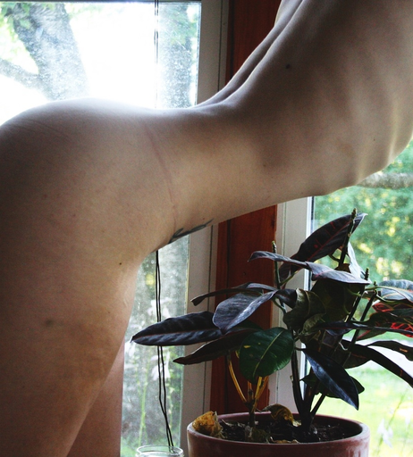 Image 5404815 from TheCamDamage