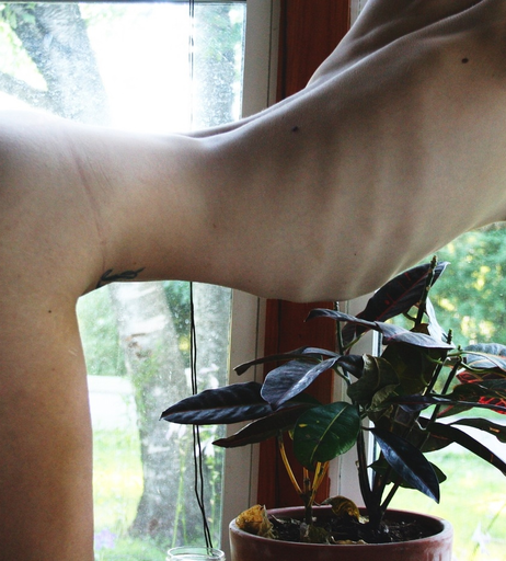 Image 5404820 from TheCamDamage