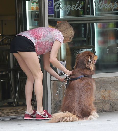Image 5506896 from Amanda Seyfried