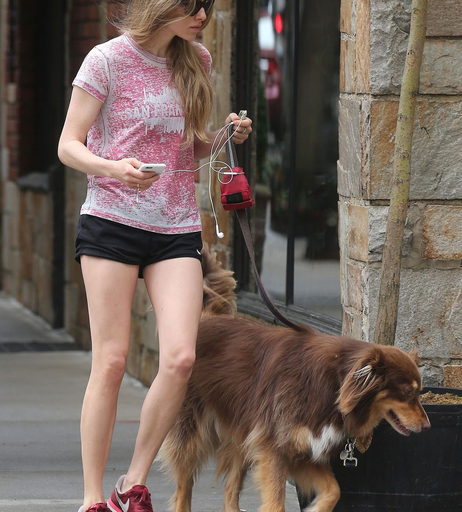 Image 5506887 from Amanda Seyfried