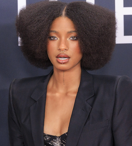 Image 5795832 from Willow Smith