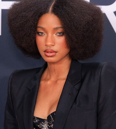 Image 5795752 from Willow Smith