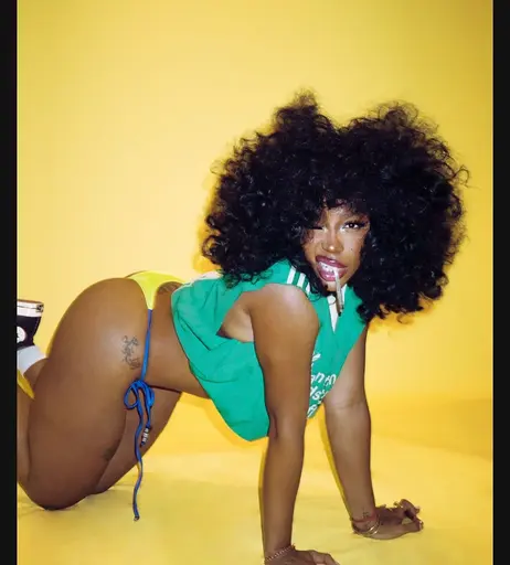 Image 5749371 from SZA | Solana Rowe