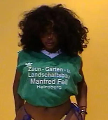 Image 5749375 from SZA | Solana Rowe
