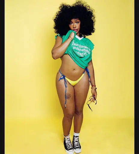 Image 5749368 from SZA | Solana Rowe