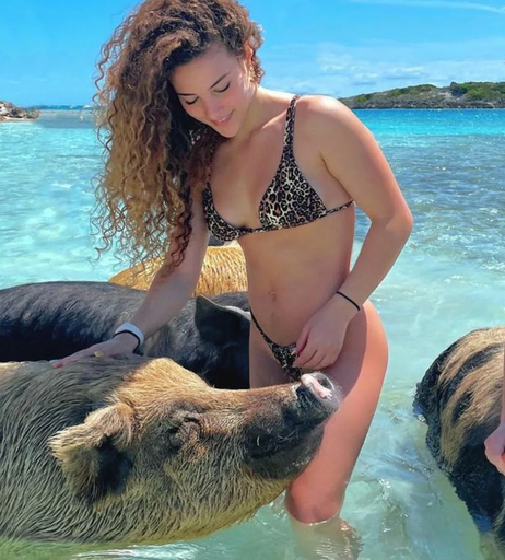 Image 5096568 from Sofie Dossi