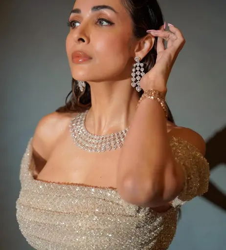 Image 5065854 from Malaika Arora
