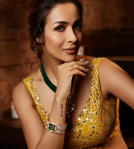 Image 5065866 from Malaika Arora