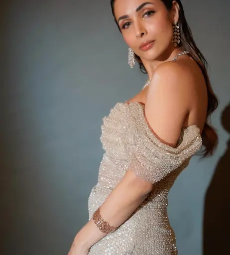 Image 5065951 from Malaika Arora
