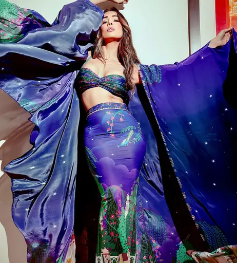 Image 5066229 from Malaika Arora