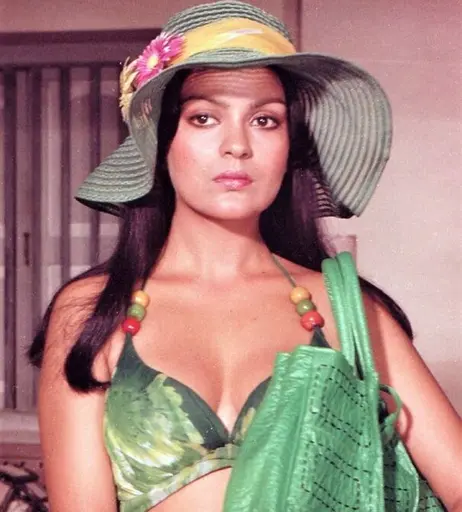Image 5064966 from Zeenat Aman