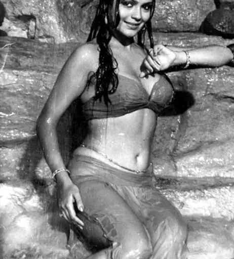 Image 5064921 from Zeenat Aman