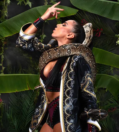 Image 4398572 from Women of Professional Wrestling