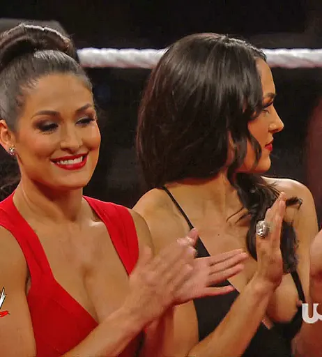 Image 4385798 from Women of Professional Wrestling