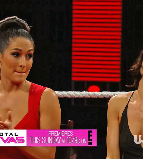 Image 4385904 from Women of Professional Wrestling