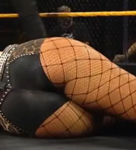 Image 4369962 from Women of Professional Wrestling