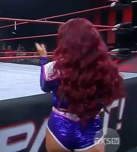 Image 4368746 from Women of Professional Wrestling