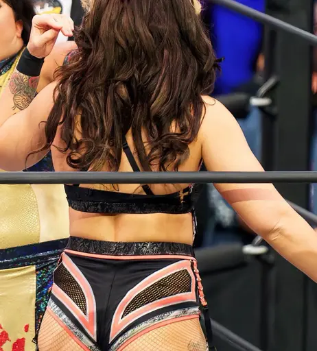 Image 4368214 from Women of Professional Wrestling