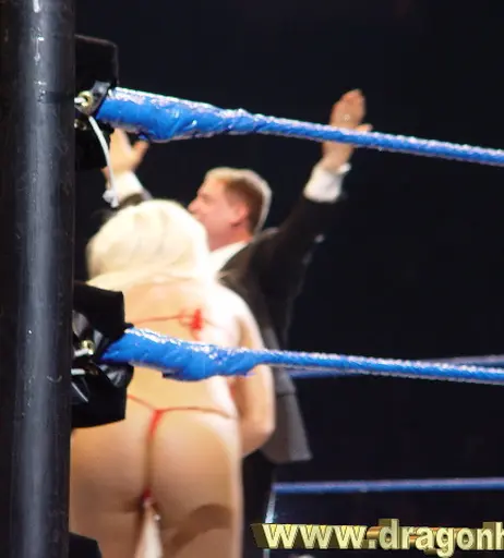 Image 4862286 from WWE Torrie Wilson