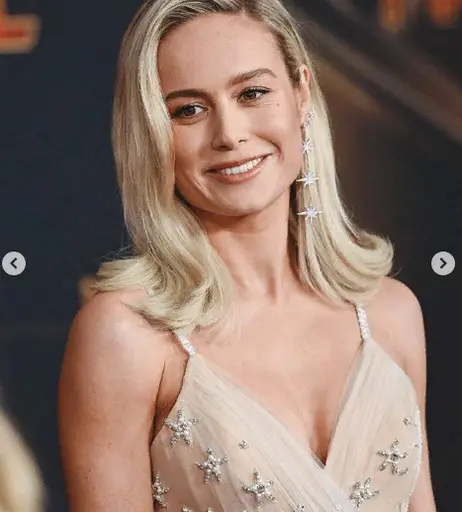 Image 4990245 from Brie Larson