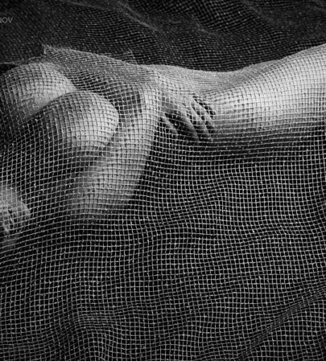 Image 4942897 from Anastasia Gorbunova