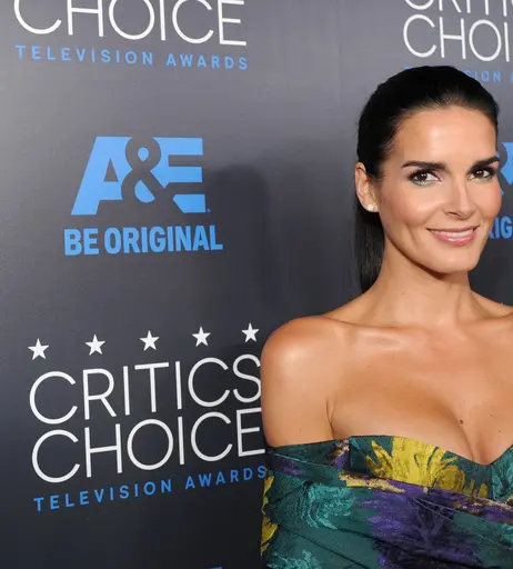 Image 4911862 from Angie Harmon
