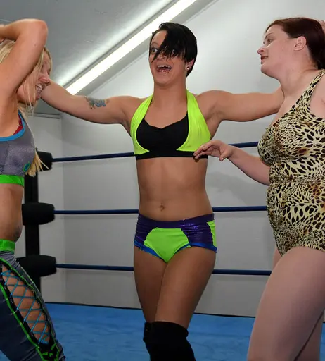 Image 4496049 from Women of Professional Wrestling