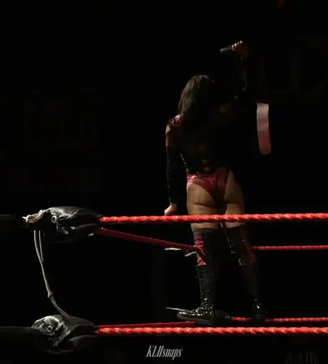Image 4490642 from Women of Professional Wrestling