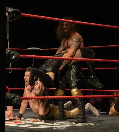 Image 4490617 from Women of Professional Wrestling