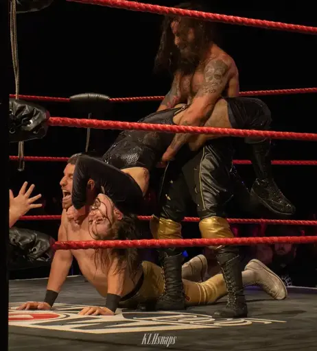 Image 4490628 from Women of Professional Wrestling