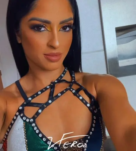 Image 4482863 from Women of Professional Wrestling