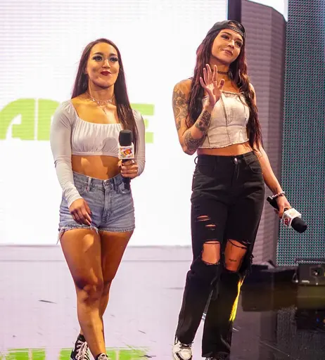 Image 4482739 from Women of Professional Wrestling