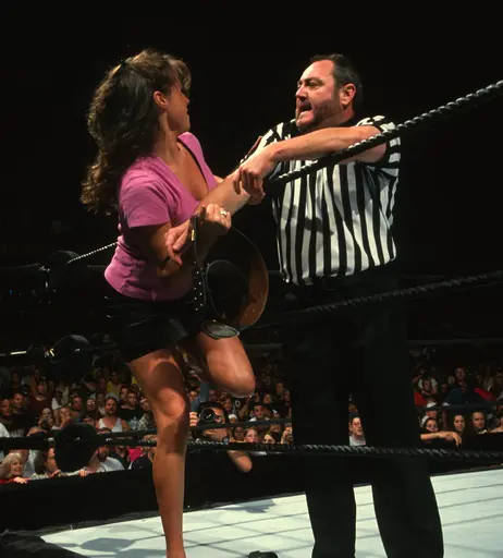 Image 4482185 from Women of Professional Wrestling