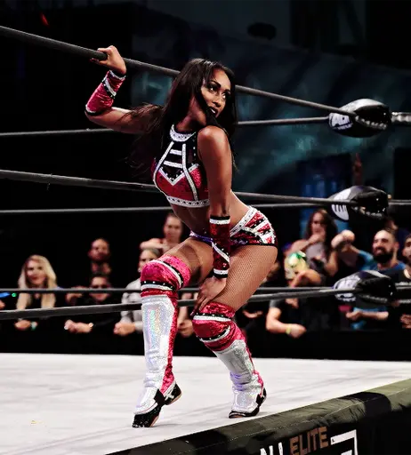 Image 4482940 from Women of Professional Wrestling
