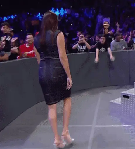 Image 4474631 from Women of Professional Wrestling