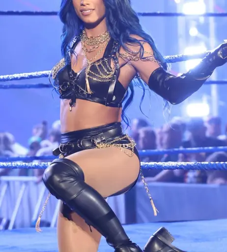 Image 4471738 from Women of Professional Wrestling