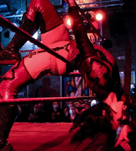 Image 4479190 from Women of Professional Wrestling