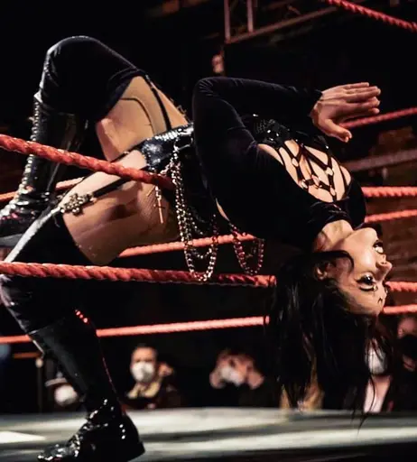 Image 4479081 from Women of Professional Wrestling